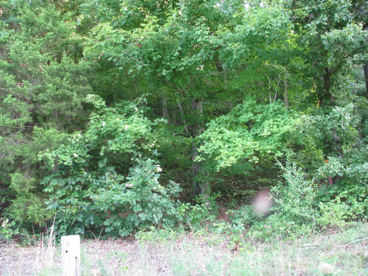 Waverly, TN 37185,0 West Little Richland Rd