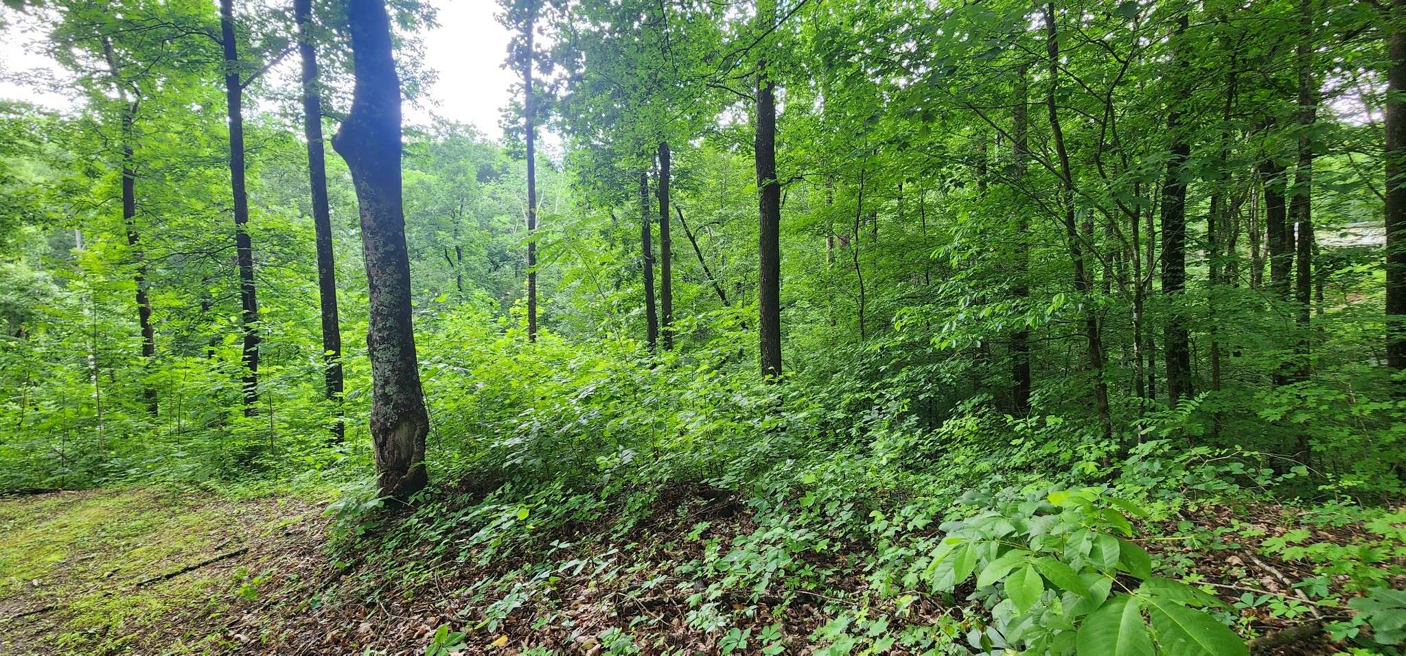 Smithville, TN 37166,0 Poplar Pl