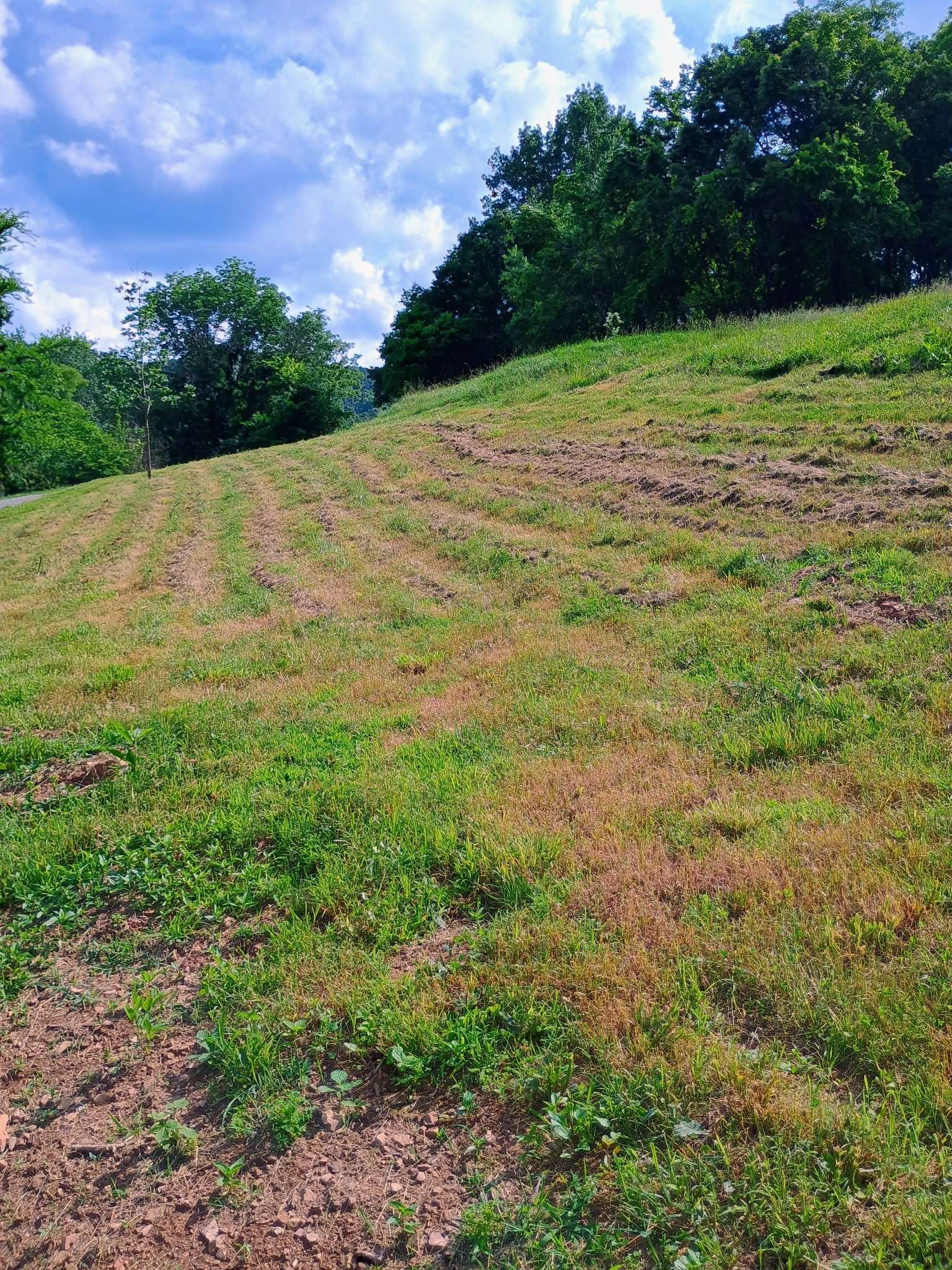 Petersburg, TN 37144,0 sorrells rd