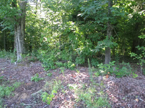Waverly, TN 37185,0 Big Richland Drive