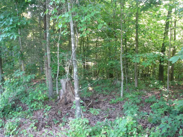 Waverly, TN 37185,0 Big Richland Drive