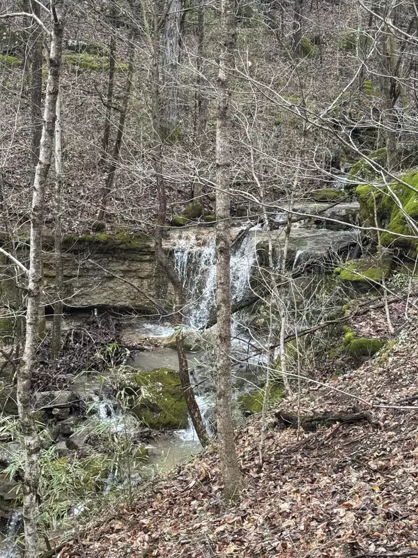 Watertown, TN 37184,0 Patton Hollow Rd