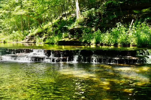 Hohenwald, TN 38462,0 Brush Creek