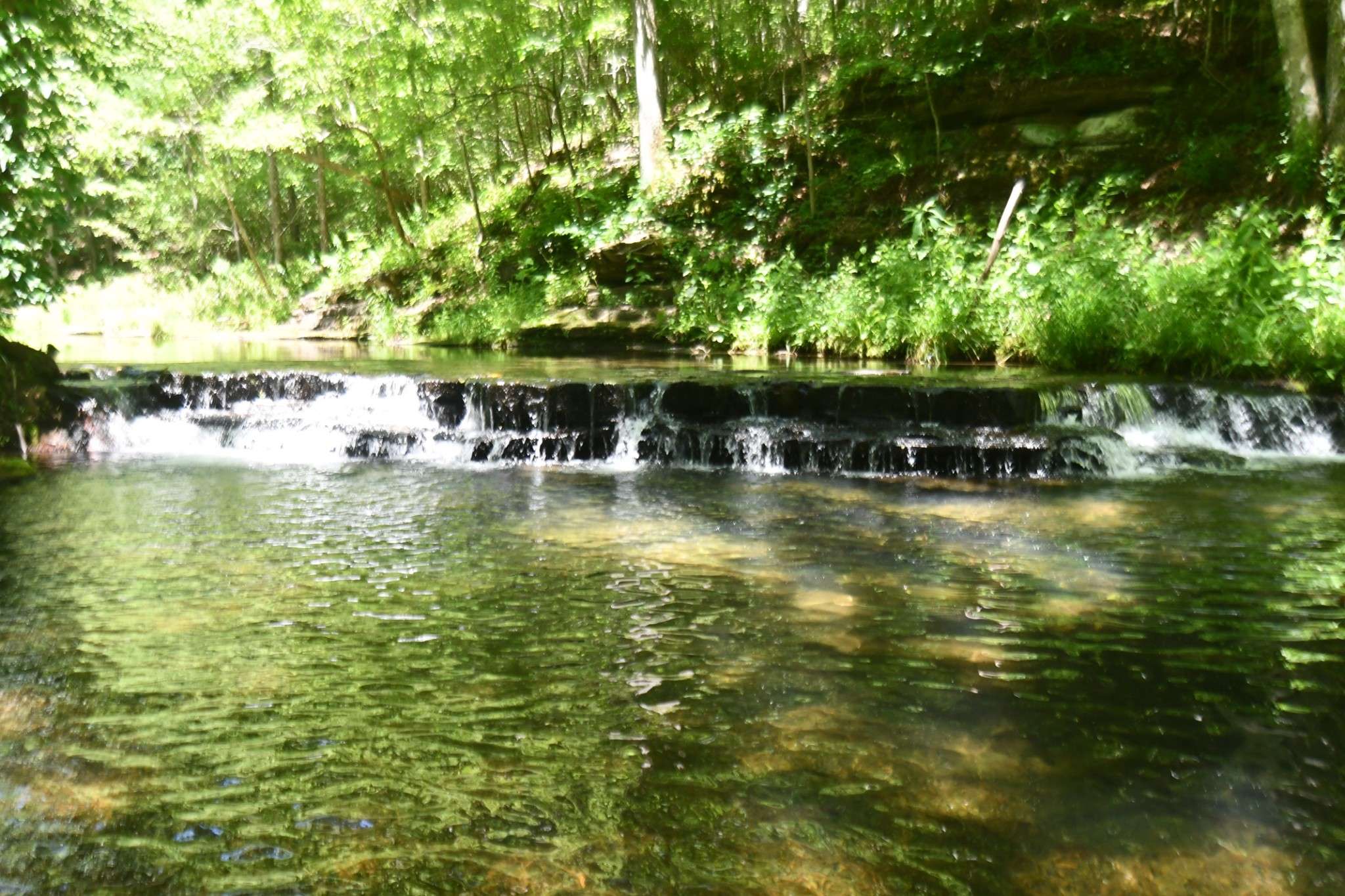 Hohenwald, TN 38462,0 Brush Creek