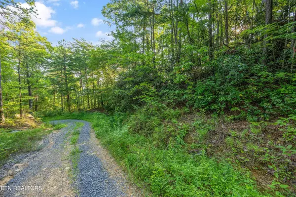 Sevierville, TN 37862,5 Overholt Tr