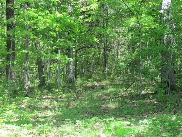 Lascassas, TN 37085,0 St John Rd