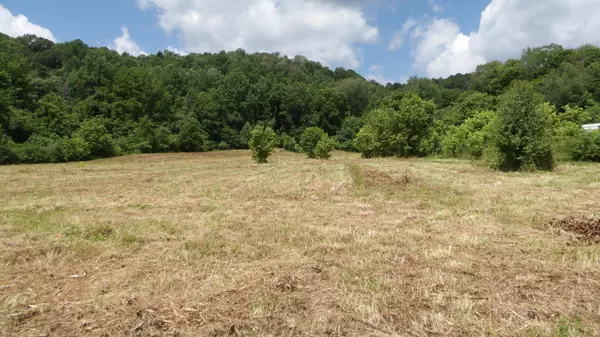 0 Lonnie Reecer Rd, Celina, TN 38551