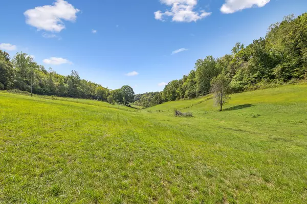 Pulaski, TN 38478,0 Young Rd