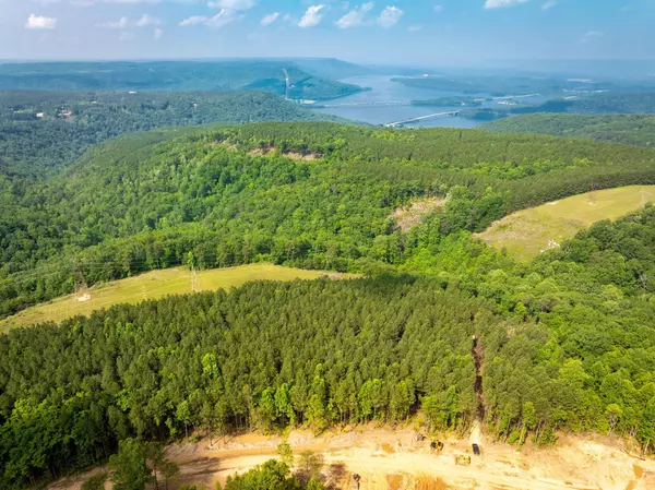 Guild, TN 37340,0 Split Rail Way