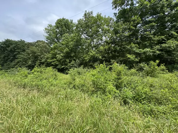 Summertown, TN 38483,0 Quail Hollow Dr
