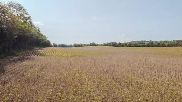 5 McBurg Dellrose Road, Dellrose, TN 38453