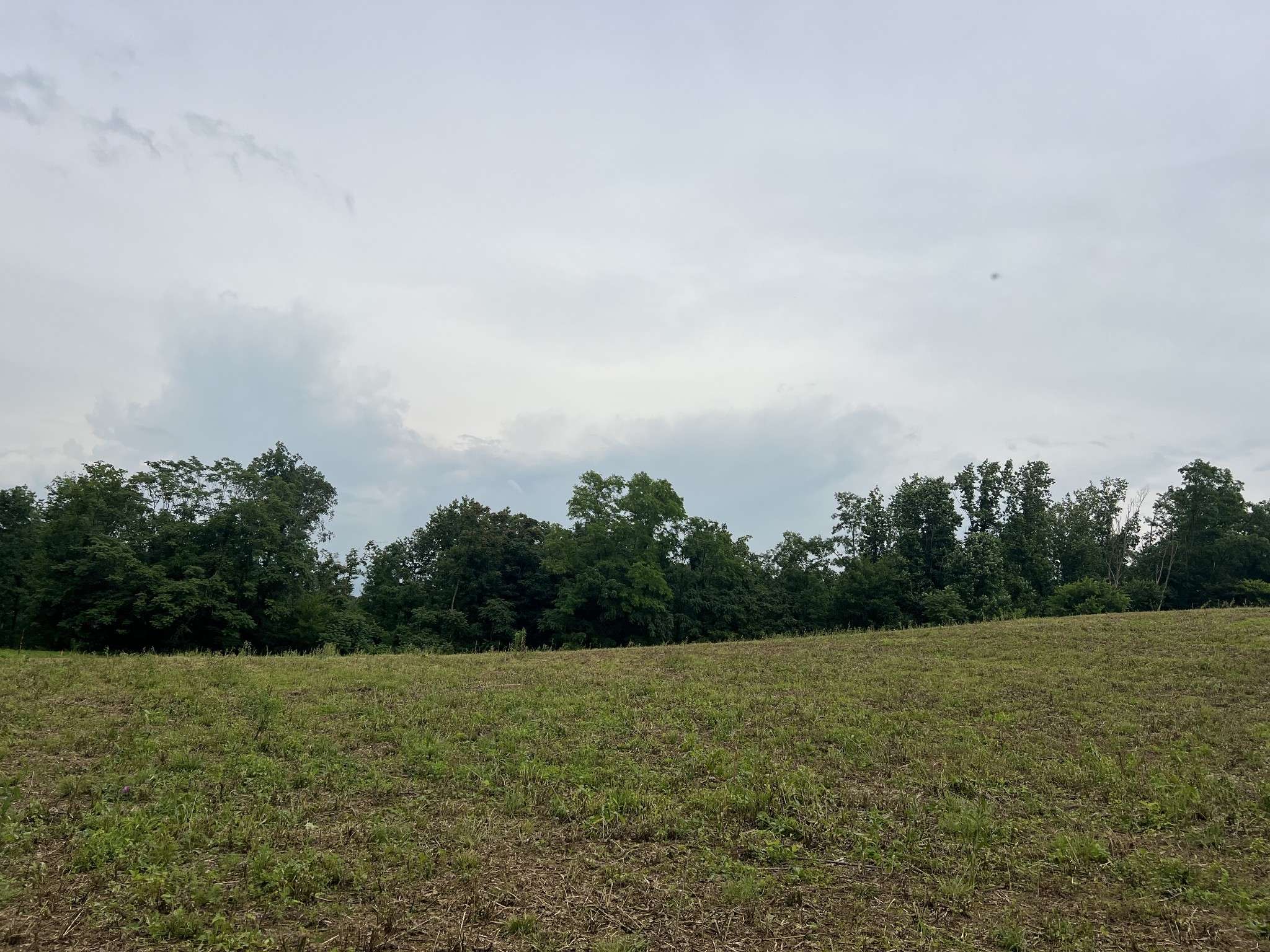 Westmoreland, TN 37186,5 Annie Hollow Rd