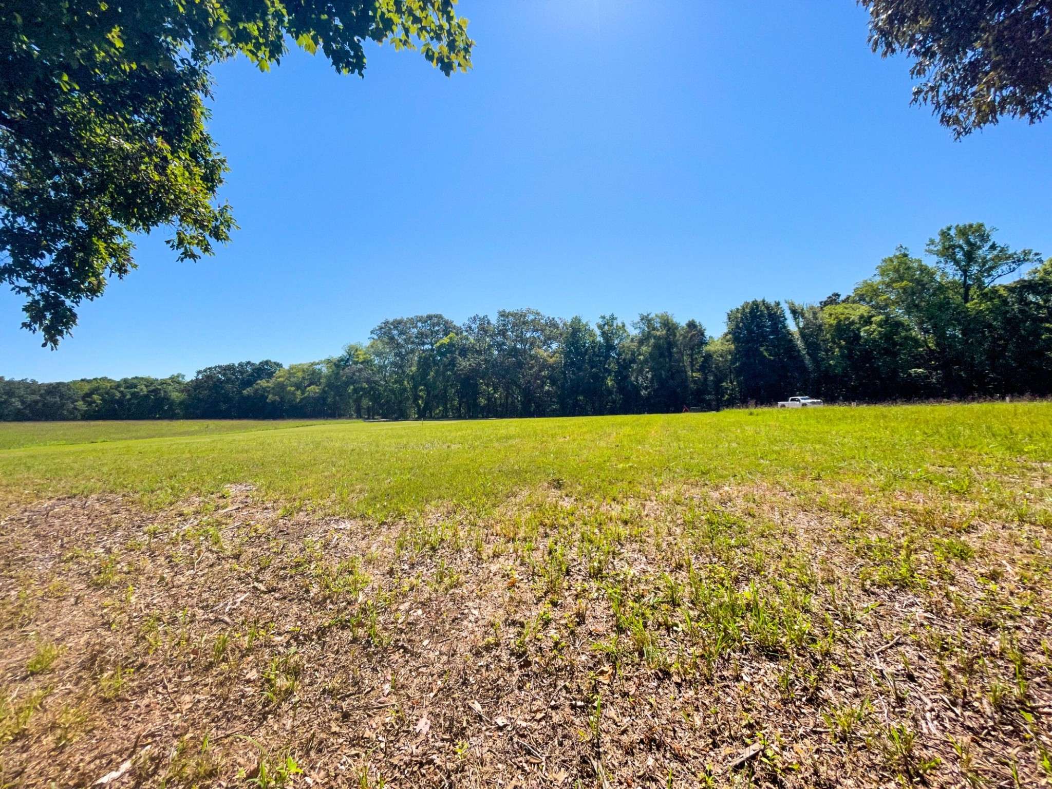 White Pine, TN 37890,51 Sunset Blvd
