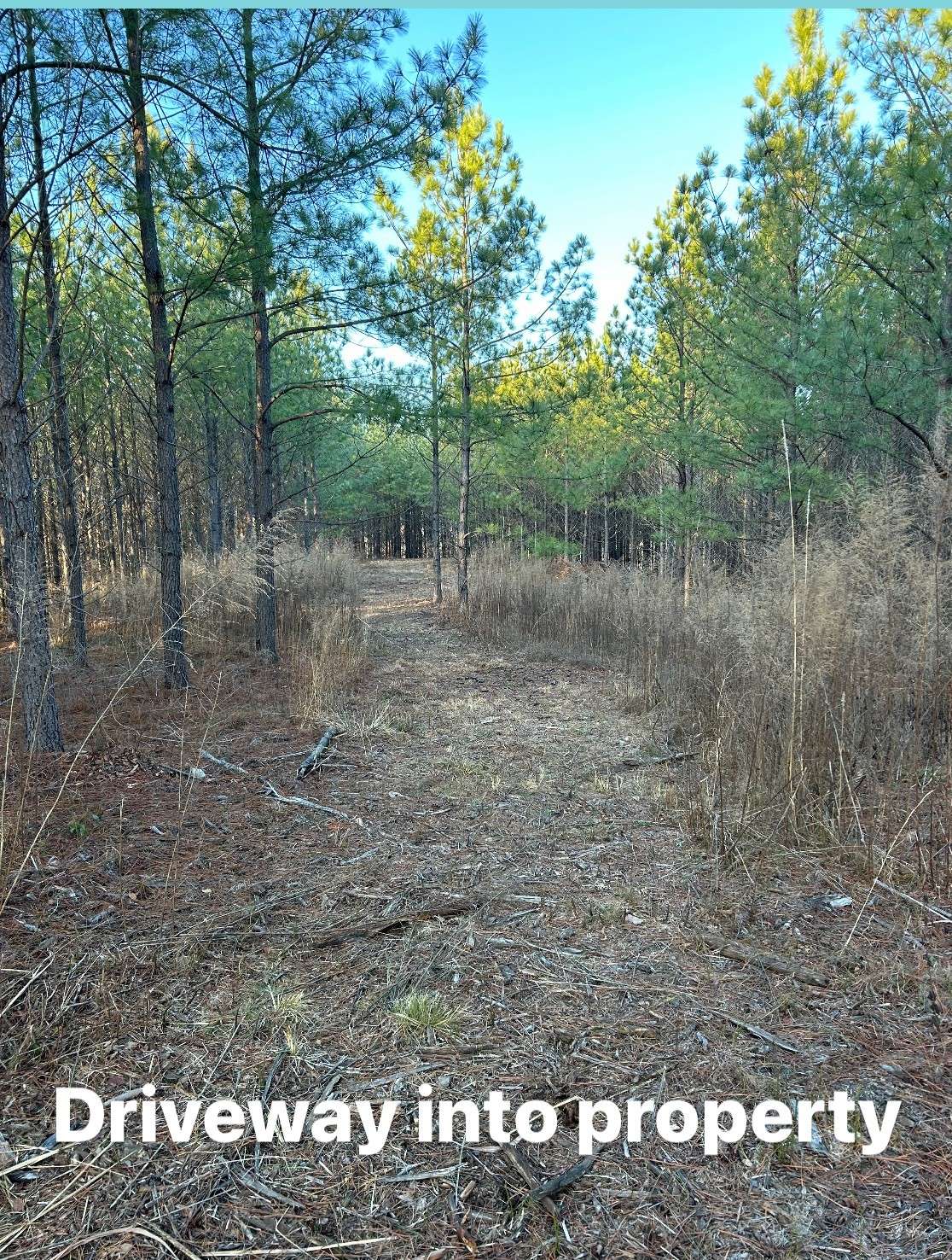 Linden, TN 37096,210 Ridgewood Dr