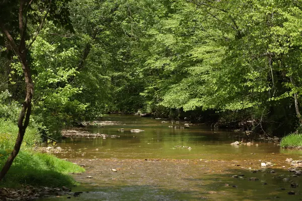 Cumberland Furnace, TN 37051,4801 Highway 48