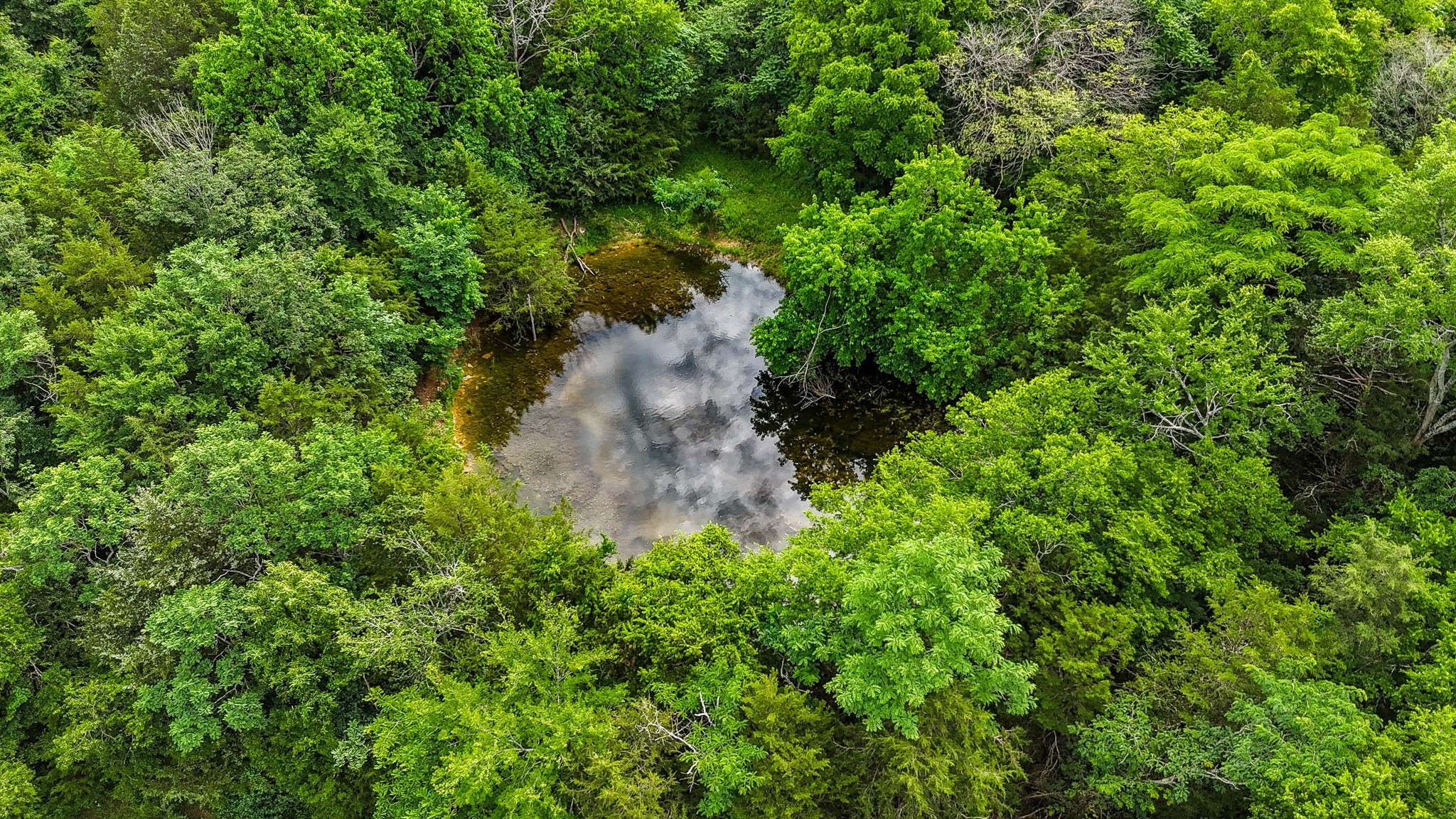 Chapel Hill, TN 37034,0 Clem Creek Rd