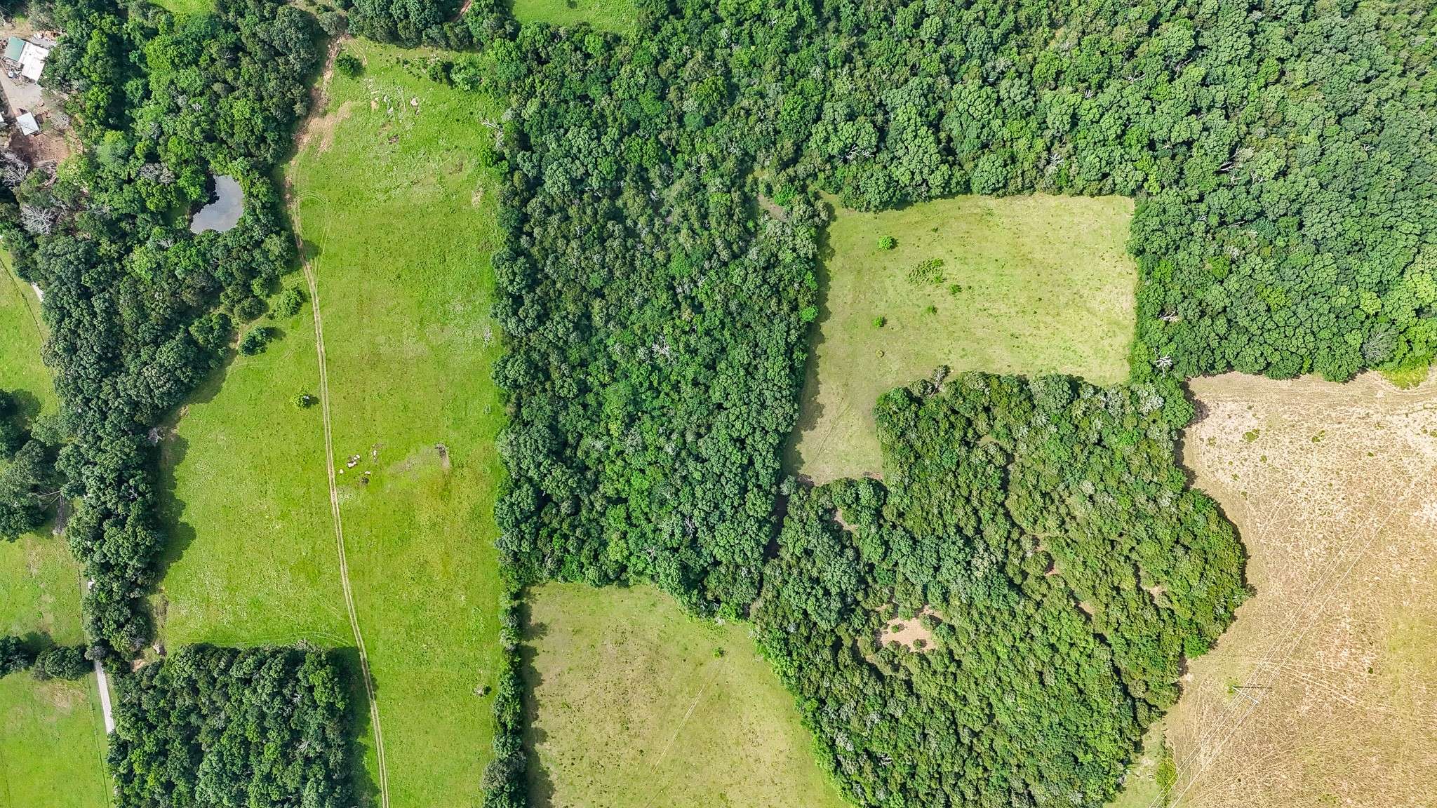 Chapel Hill, TN 37034,0 Clem Creek Rd