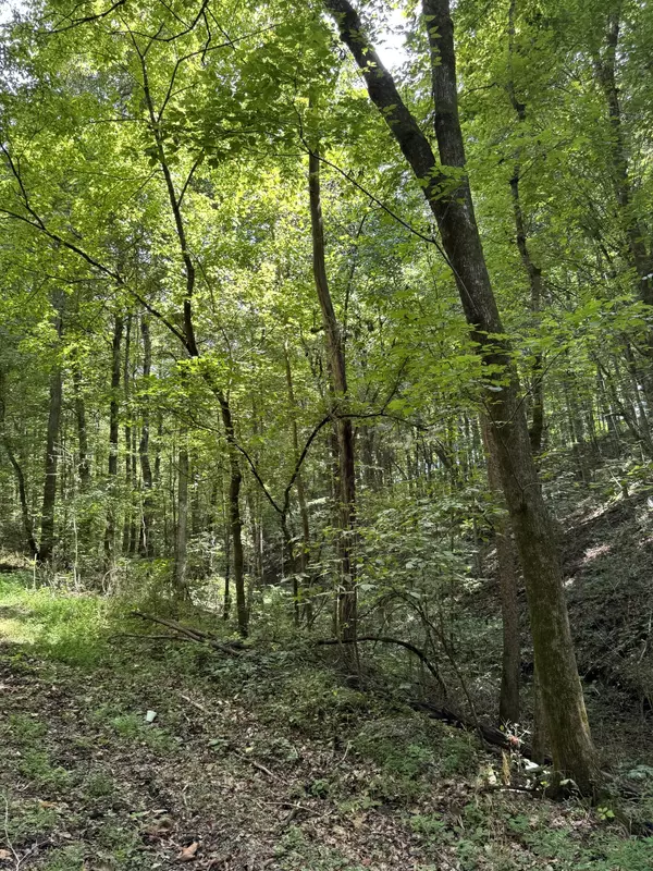 0 Albert Fentress Rd, Greenbrier, TN 37073