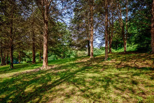 Ashland City, TN 37015,1216 Sams Creek Rd