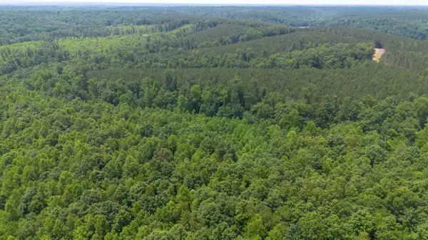 Centerville, TN 37033,0 Copperas Branch Rd