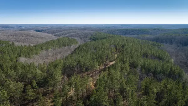 0 Mayfield Divide Rd, Centerville, TN 37033