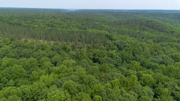 Centerville, TN 37033,0 Mayfield Divide Rd