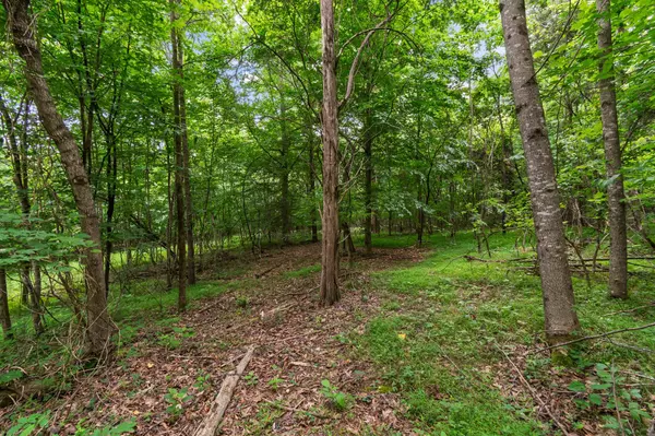 Spring Hill, TN 37174,0 Lasea Rd