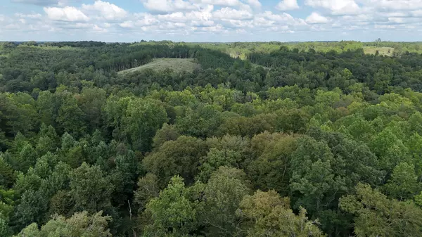0 Freedom Ridge, Indian Mound, TN 37079