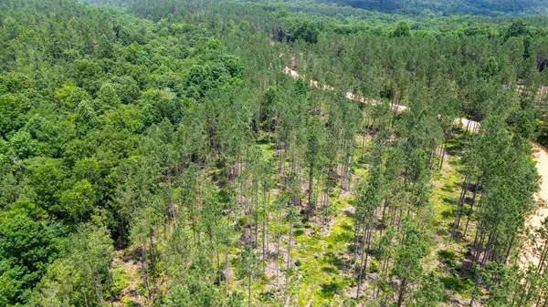 Centerville, TN 37033,0 Salem Rd