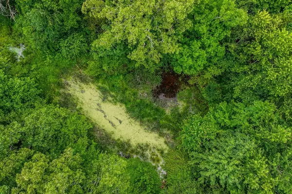 Sparta, TN 38583,0 Golden Herren Road