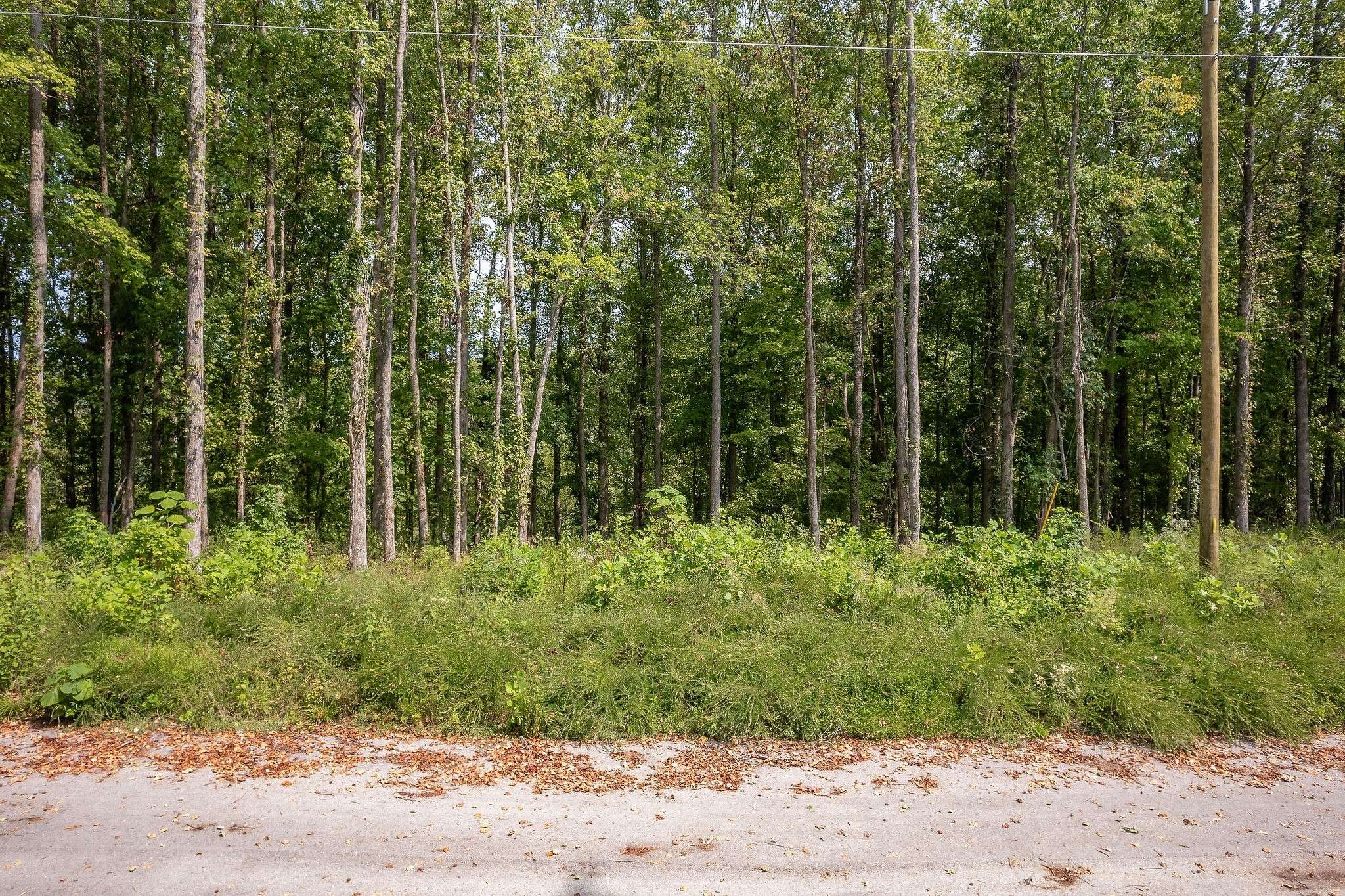 0 Lookout Lane, Silver Point, TN 38582