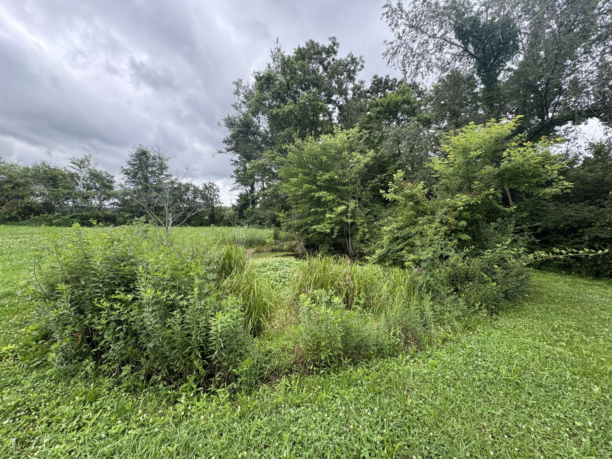 Mcminnville, TN 37110,264 Underhill Rd