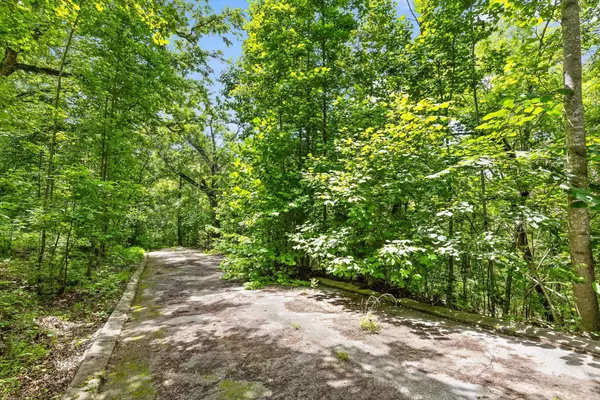 Flintstone, GA 30725,0 Cloud 9 Lane