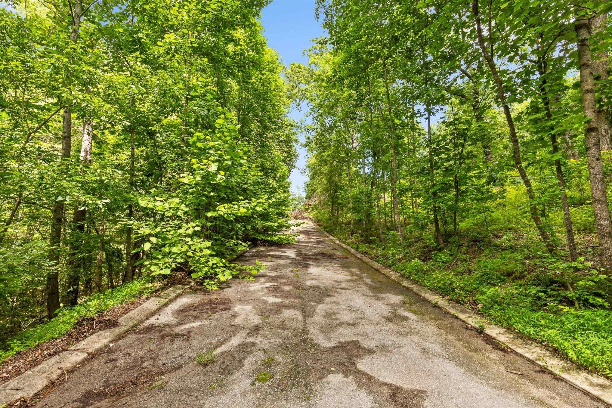 Flintstone, GA 30725,0 Cloud 9 Lane