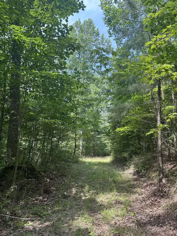 Jasper, TN 37347,1255 Cherokee Path