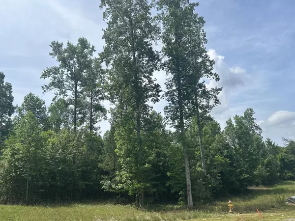 1255 Cherokee Path, Jasper, TN 37347