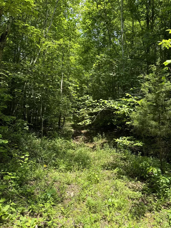 Waverly, TN 37185,565 Lucas Ridge Ln