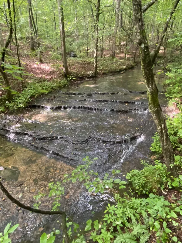 0 Firetower Rd, Hohenwald, TN 38462