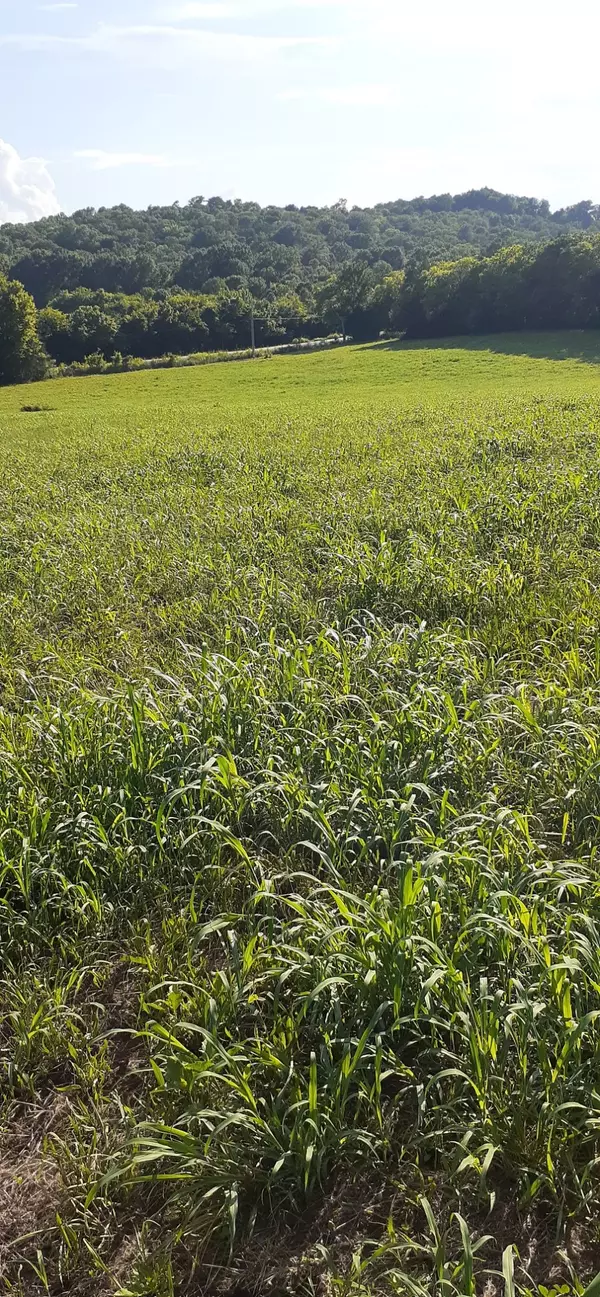 Shelbyville, TN 37160,0 HWY 130 E