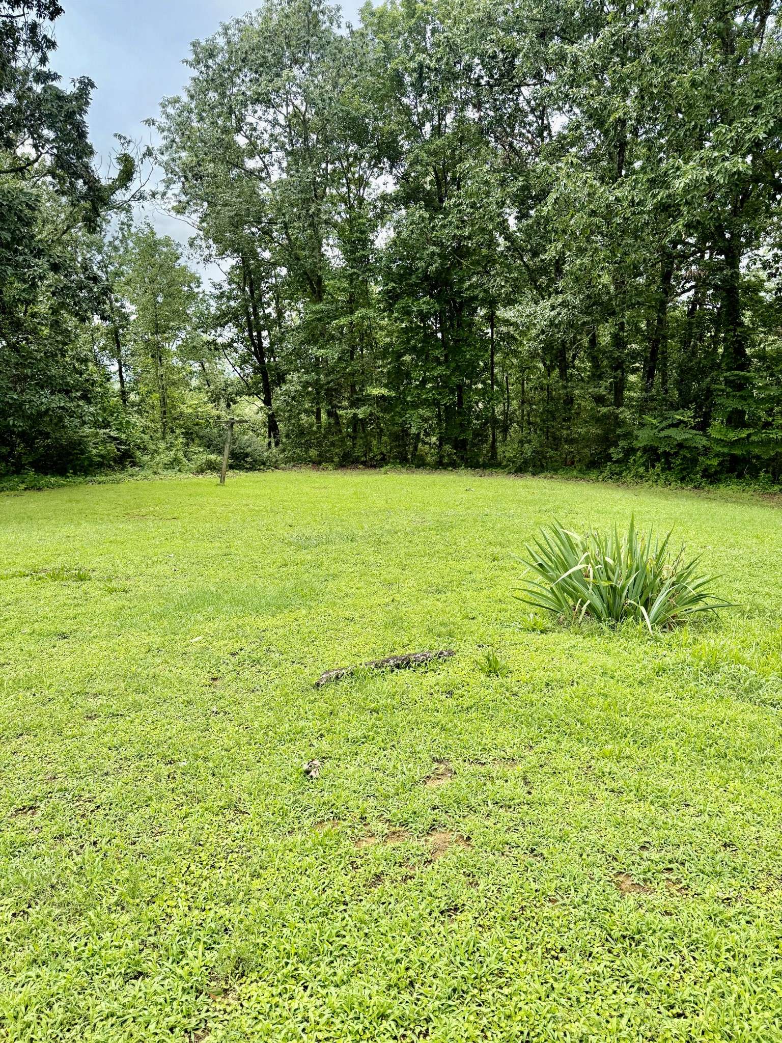 Lyles, TN 37098,6204 Highway 230