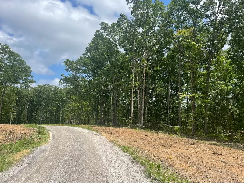 0 Shelton Cemetery Road, Cumberland Furnace, TN 37051
