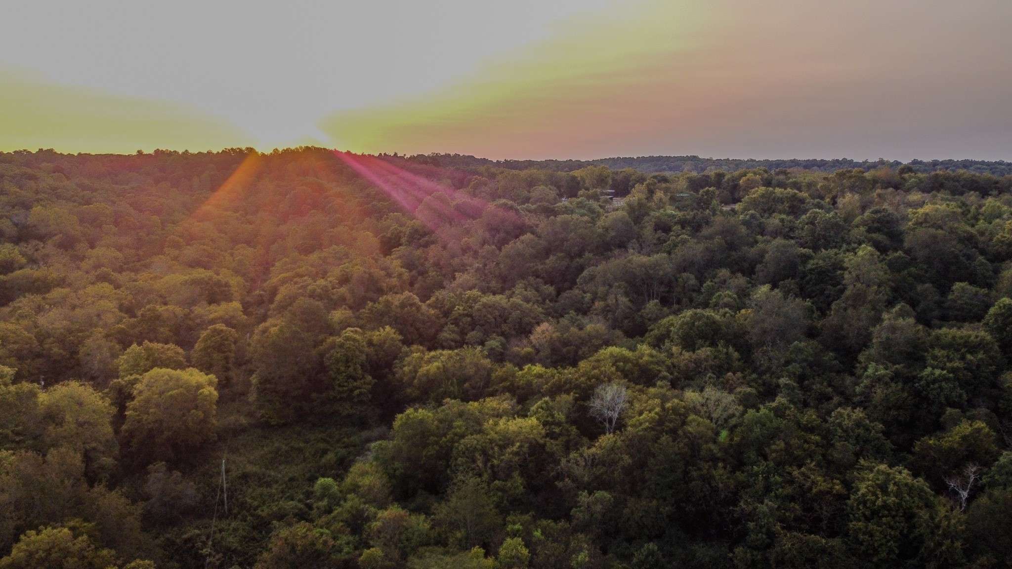 Dellrose, TN 38453,3 McBurg Dellrose Road