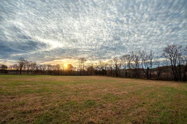 Arrington, TN 37014,0 Blythe Meadow Ln