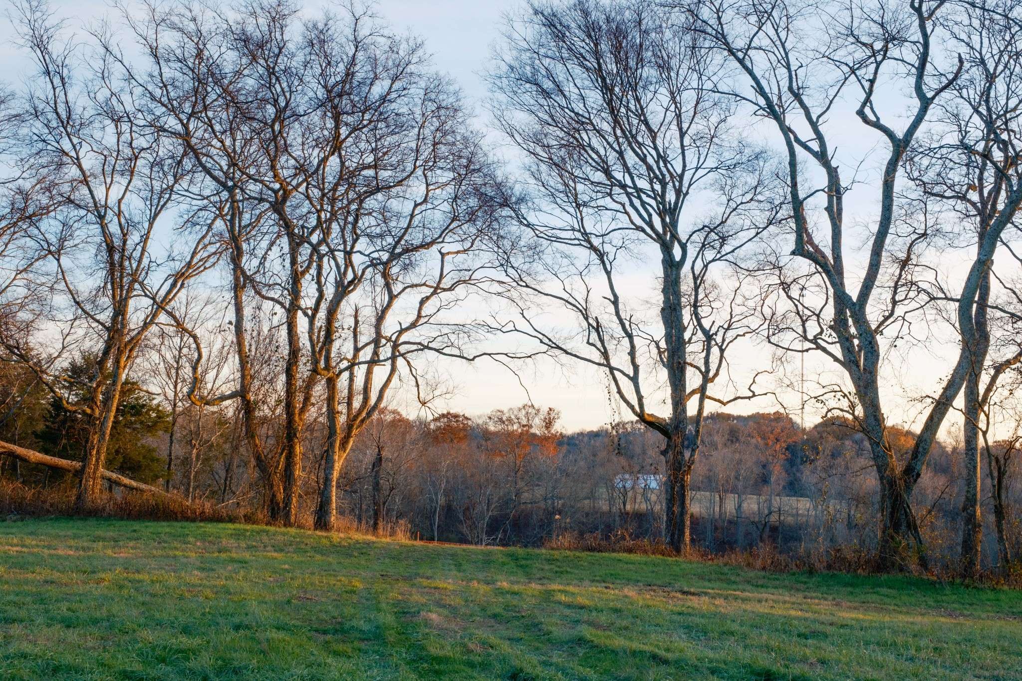 Arrington, TN 37014,0 Blythe Meadow Ln
