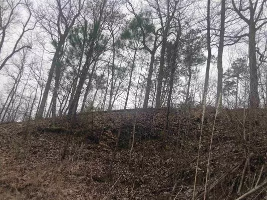 Savannah, TN 38372,0 Breeze Point