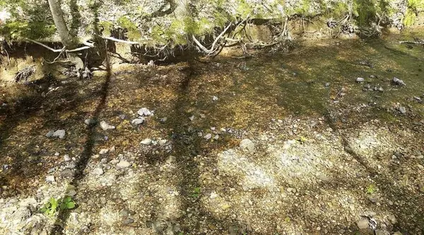 Bath Springs, TN 38311,954 Stokes Ln