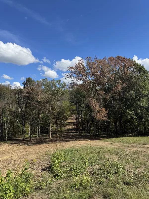 Lebanon, TN 37087,0 Palmer Rd