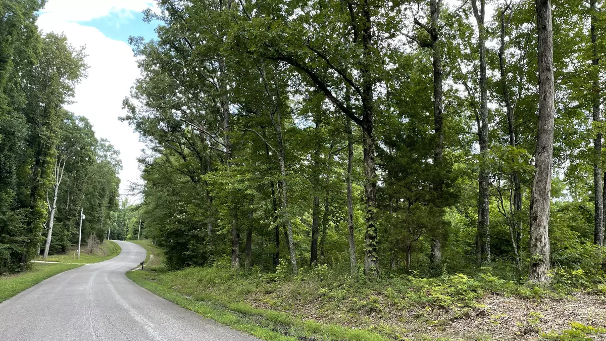 Holladay, TN 38341,0 Pugh Rd