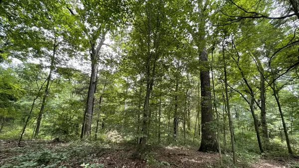 Tullahoma, TN 37388,0 Hurricane Road