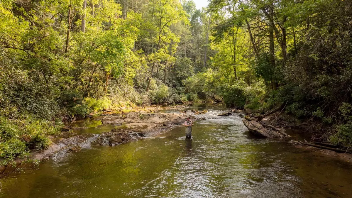 Dahlonega, GA 30533,748 Damascus Church Road